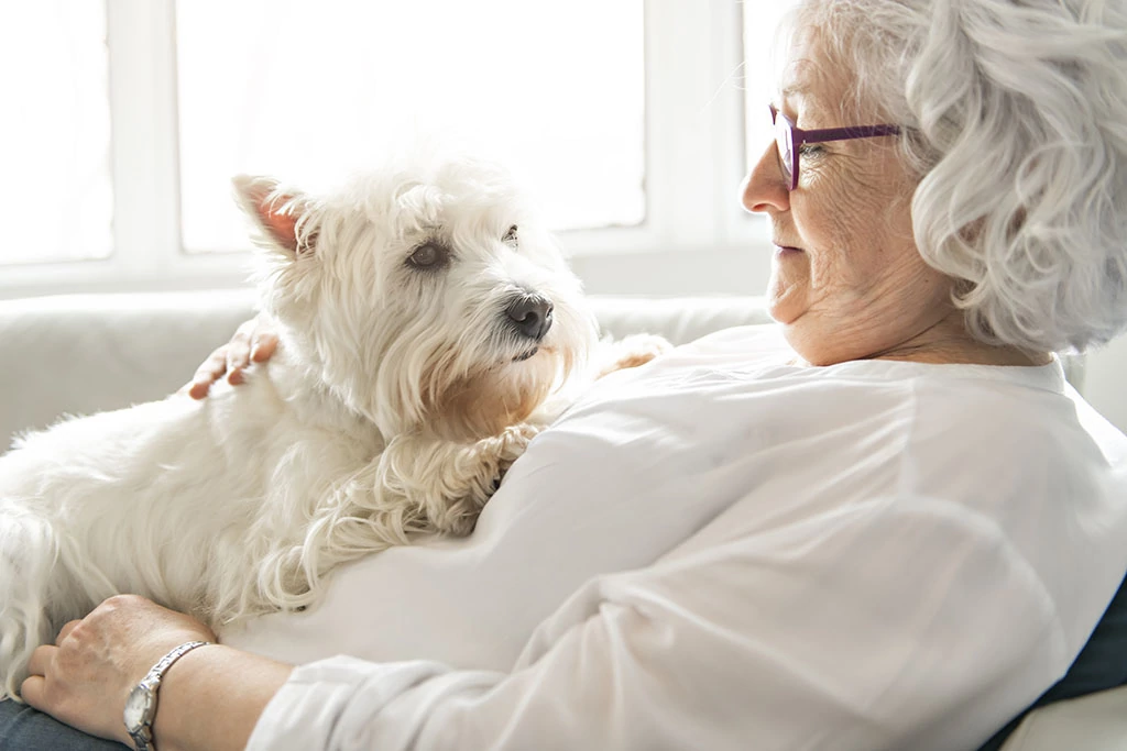 Veterinarian providing In-Home Pet Euthanasia guidance with a family in Houston - TX beside an aging dog