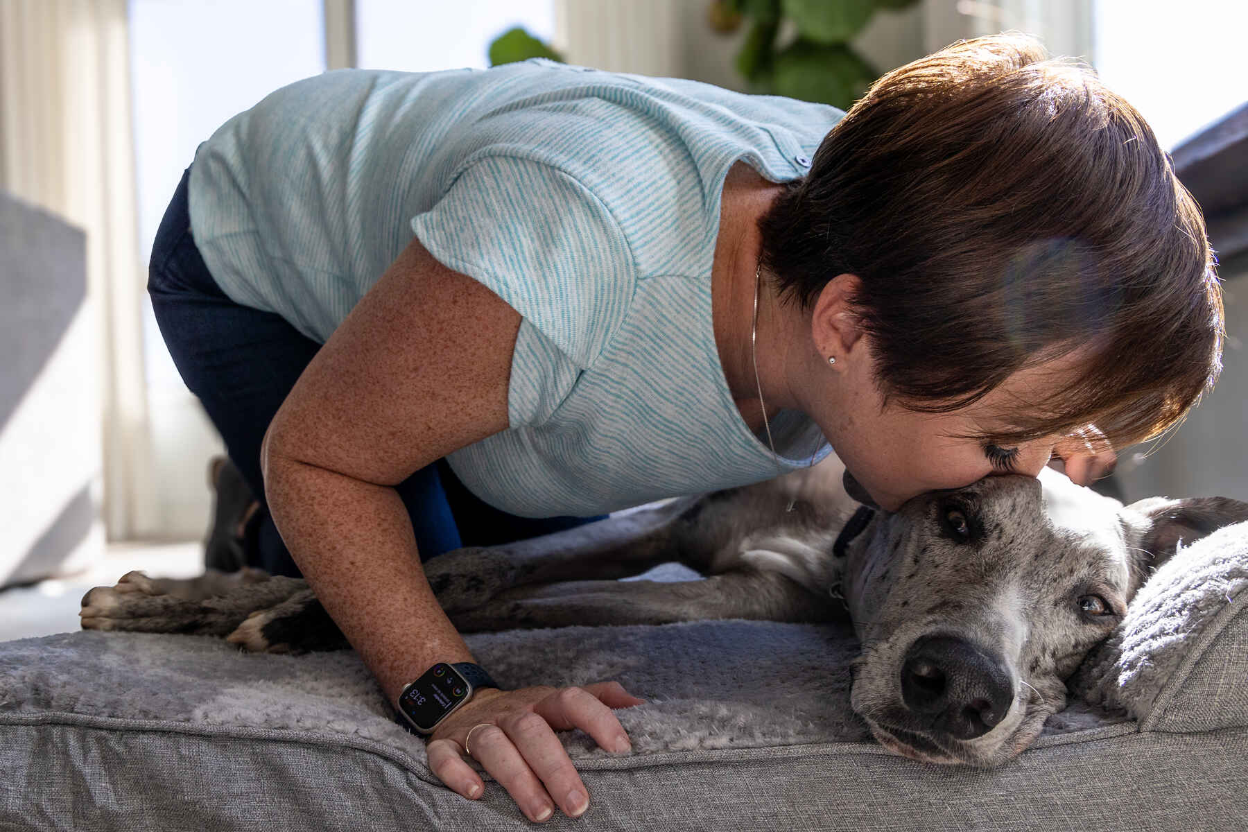 Veterinarian providing In-Home Pet Euthanasia guidance with a family in Houston - TX beside an aging dog