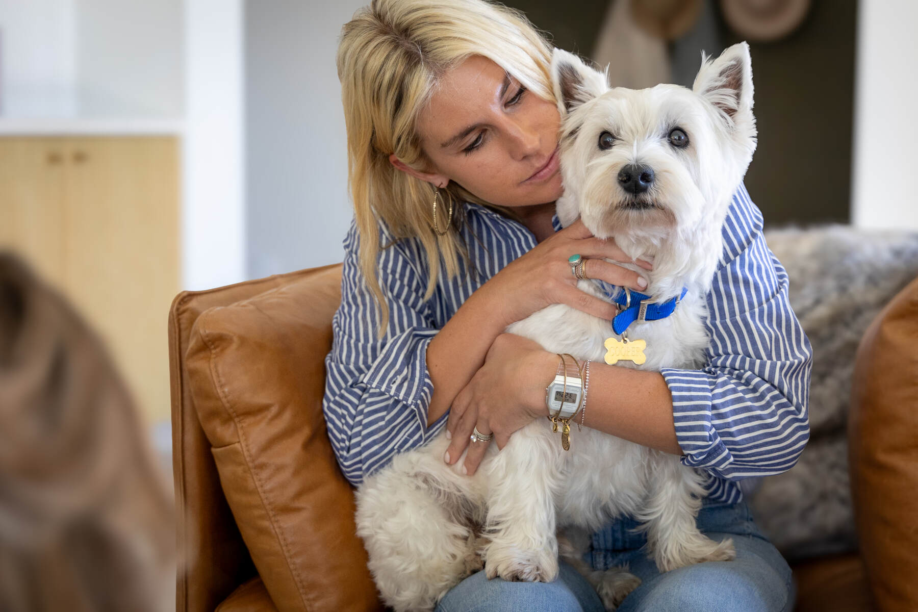 In-Home Pet Euthanasia in Chicago - IL taking place in a quiet apartment living room with family nearby, Veterinarian providing Dog Euthanasia at Home beside a resting dog in a Spring - TX living room