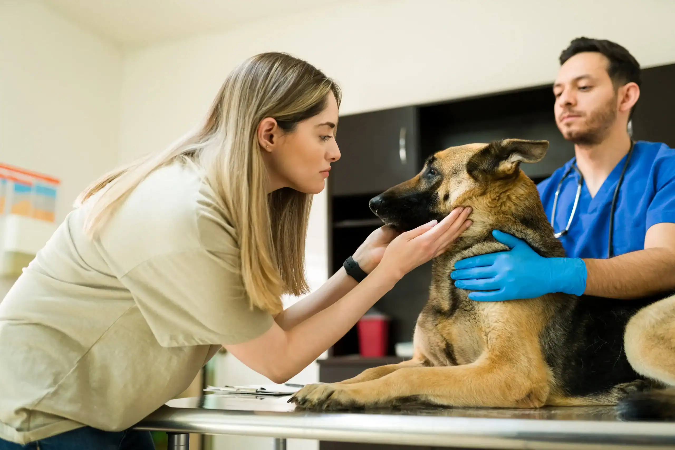 Veterinarian providing In-Home Pet Euthanasia guidance with a family in Houston - TX beside an aging dog