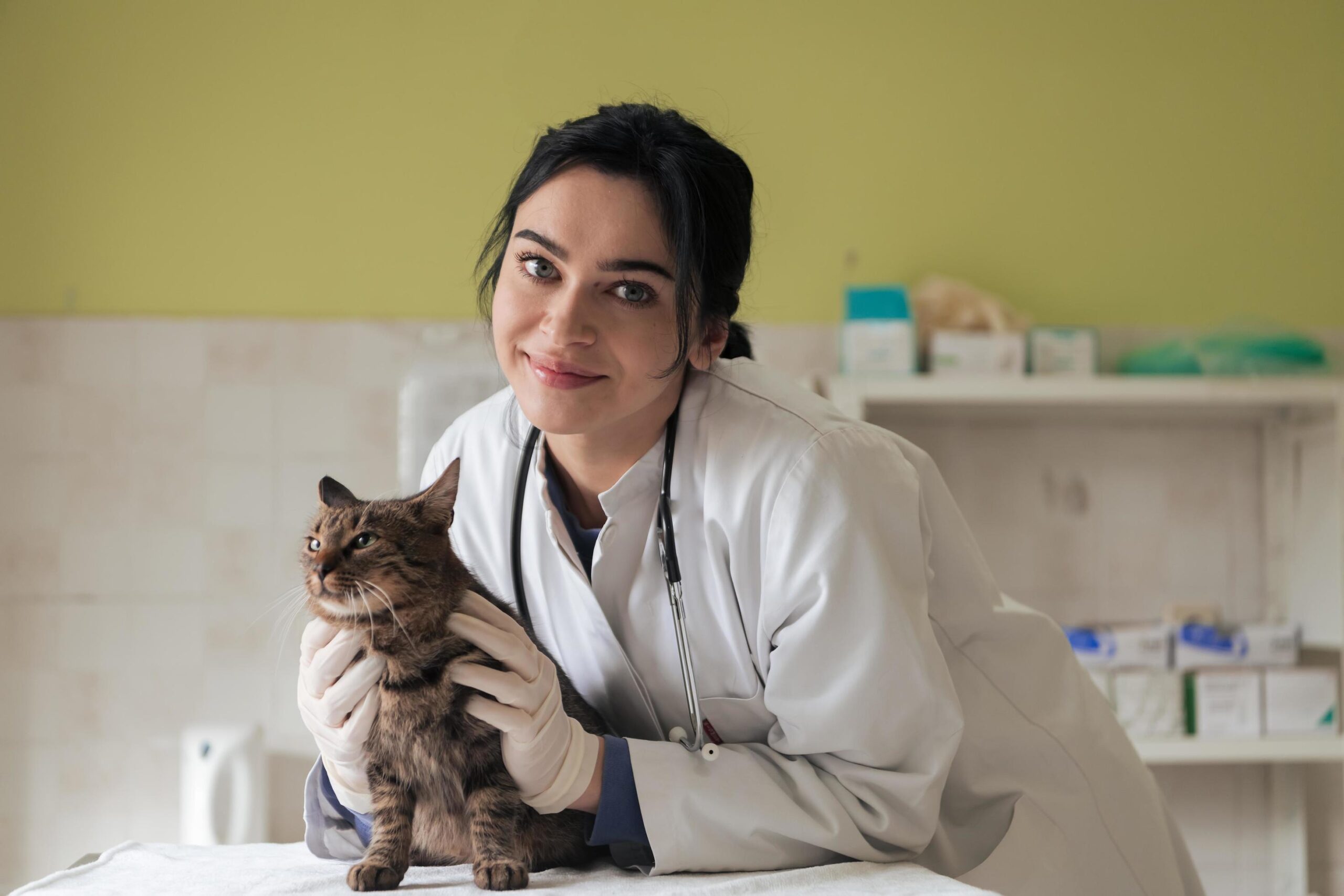 Veterinarian providing In-Home Pet Euthanasia guidance with a family in Houston - TX beside an aging dog