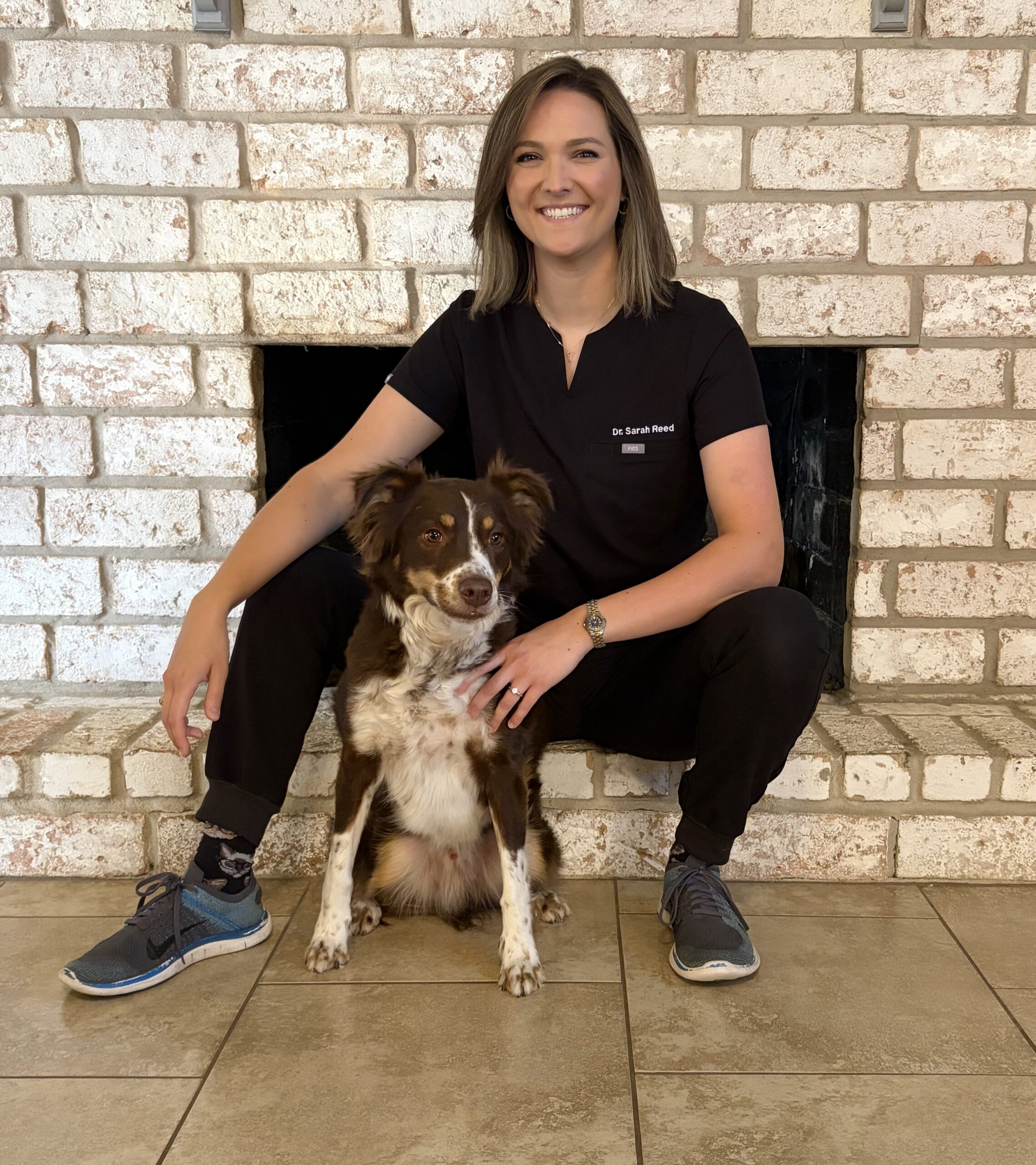 Veterinarian performing In-Home Pet Euthanasia for a resting dog in a quiet Texas living room